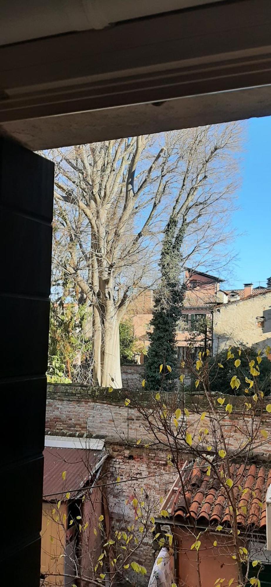 La Moretta Apartment Venice Exterior photo